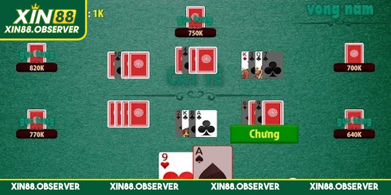 Cách chơi game bài Catte chi tiết, đơn giản qua từng vòng