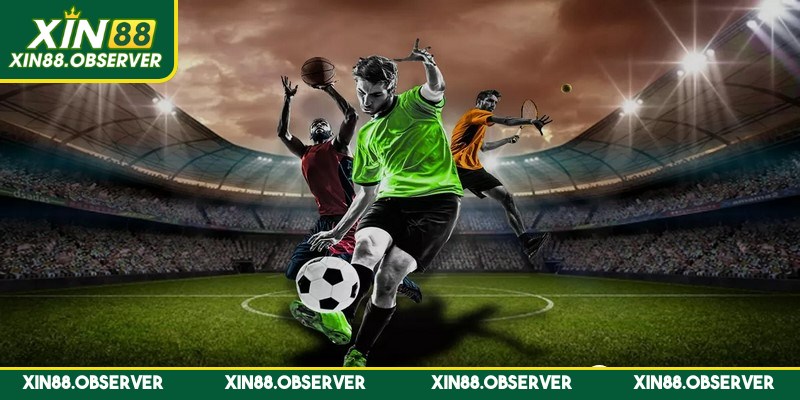 Thường thì đội chủ nhà có lợi thế hơn với đội khách là lưu ý cần thiết